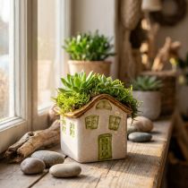 Artikel Keramikhaus 11 cm Naturweiß Grün Braun Pflanztopf Tischdeko