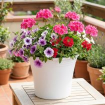 Artikel Blumentopf aus Kunststoff Weiß Ø22 cm H18 cm