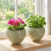 Artikel Keramik-Übertopf und Dekoschale Grün Ø15cm H11cm, 2er-Set