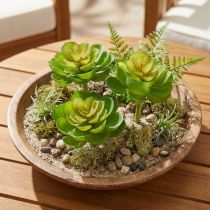 Artikel Echeveria künstliche Sukkulenten aus Kunststoff Grün Ø7cm 6 Stück