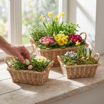Artikel Pflanzkorb Set 3-teilig rechteckig Weide Natur 39/33/27 cm