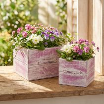 Artikel Pflanzschubladen Holz Rosa-Weiß mit Griff 12/15 cm 2er-Set