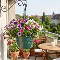 Artikel Blumenampel aus Kunststoff Ø25cm, Grün, mit Drainagelöchern, Höhe 50cm