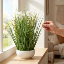 Artikel Deko Gras mit weißen Cosmea-Blüten in Kunststoffschale H45cm