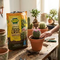 Artikel Erde für Kakteen und Bonsai mit Quarzsand und Bims 5L