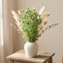 Artikel Trockenblumen Schwarzkümmel Nigella grün, 50 cm, 100 g
