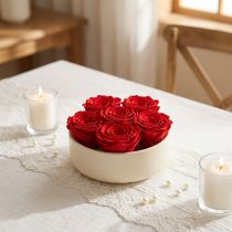 Artikel Infinity Rosen Rot Ø 6 cm Konservierte Blumenköpfe 6 Stück