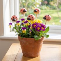 Artikel Marienkäfer Blumenstecker Holz 3,5 cm bunt 24 Stück