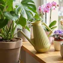 Artikel Gießkanne Kunststoff Olivgrün Retro Stil 24,5cm 1,8L Zimmergießkanne