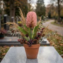 Artikel Kunstblume Banksia Rosa aus Kunststoff 64 cm für Herbstdeko und Wohnraum