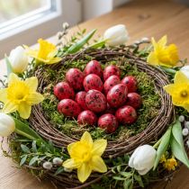 Artikel Wachteleier Rot 3cm Deko-Eier 50 Stück Osterdekoration