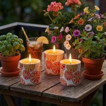 Artikel Citronella-Kerzen im Keramiktopf Ø 7 cm Frucht-Motive Outdoor 3er-Set