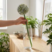 Artikel Künstlicher Allium Blütenzweig, 90 cm, Weiß, aus Polyester und Kunststoff
