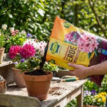Artikel Rhododendron- und Moorbeeterde Frux 18 Liter, torfhaltiges Kultursubstrat