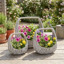 Artikel Korb Set mit Griff aus Weide grau gewaschen 43/34/27cm 3-teilig