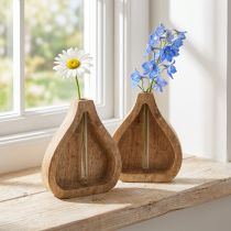 Artikel Glasreagenzvase mit Mangoholzrahmen, Tropfenform, H 17 cm, 2 Stück