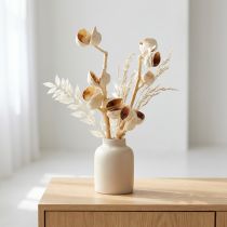 Artikel Hakea-Zweig Natur, gebleicht, 5–9 Köpfe, 30–40 cm, 25 Stück