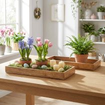 Artikel Holztablett Rechteckig Mangoholz 39×15,5×4cm Set aus 2 Stück