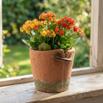 Artikel Beton-Blumentopf Übertopf Ø13 cm Höhe 13 cm Terrakotta-Grün