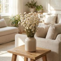 Artikel Trockenblumen Acroclinium Weiß Naturbund 60cm 80g