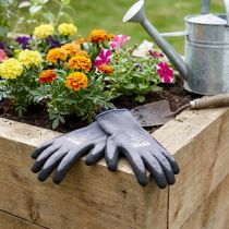Artikel Gartenhandschuhe Nylon Größe 8 EN 388-2016 2121X Grau-Schwarz-Blau