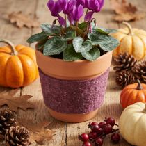 Artikel Filzband aus Schafwolle, Topfband Beere, 15 cm x 5 m
