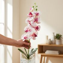 Artikel Künstliche Orchidee Phalaenopsis mit 9 Blüten, Weiß-Fuchsia, 96 cm