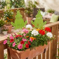 Artikel Gartenstecker Frosch Holz grün 30cm Länge 62,5cm 2er Set