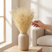 Artikel Trockengras Flachs Natur gebleicht 50-55cm 180g zur Dekoration