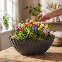Artikel Pflanzschale mit Rillen oval Schiffchen Anthrazit 36cm