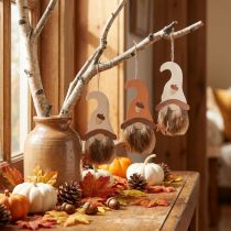 Artikel Holz-Wichtel Anhänger 21×10,5cm Herbstdeko, Set 4 Stück, Orange/Weiß, Naturfaserschnur