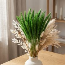 Artikel Grüne Borstenhirse getrocknet Setaria viridis 52cm