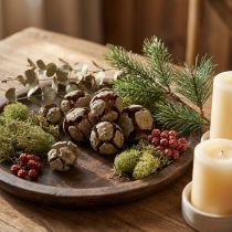 Artikel Zypressenzapfen Natur, 5–7 cm, 500 g, Holz