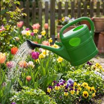 Artikel Gießkanne Kunststoff 10l Maigrün mit Brause für Garten