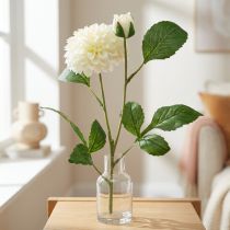 Artikel Dahlie Künstlich Creme Grün 2 Blüten 60 cm