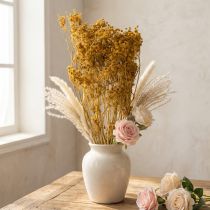 Artikel Trockenblumenstrauß Dill Braun-Natur 55cm für Vintage-Dekoration