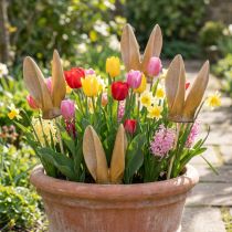 Artikel Keramik Gartenstecker Hasenohren Set 29cm braun 4 Stück für Osterdeko