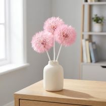 Artikel Trockenblumen Riesen-Pusteblume Rosa 12cm 4er Set