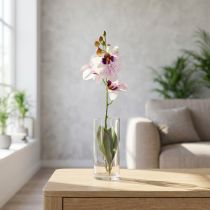 Artikel Künstliche Orchidee Phalaenopsis Weiß Lila 43cm Kunststoff