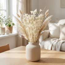 Artikel Nigella orientalis Trockenblumen 50cm Weiß 100g für Dekoration