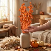 Artikel Trockenblumen Erdbeer-Disteln Orange, ca. 60cm, 100g