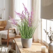 Artikel Künstliche Pflanze mit zarten Blüten, 67 cm, Lila und Grün, im Kunststofftopf