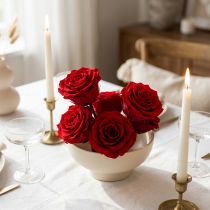 Artikel Konservierte Rosen Ø 4-4,5 cm Rot 8 Stück für dekorativen Wohnbereich