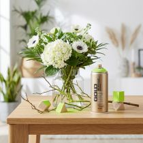Artikel Lackspray Acryl-Sprühlack apfelgrün seidenmatt 400ml für Innen- und Außengestaltung