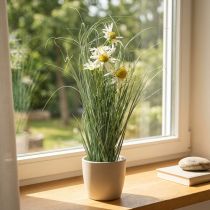 Artikel Gras mit künstlicher Echinacea im Topf Weiß 56cm