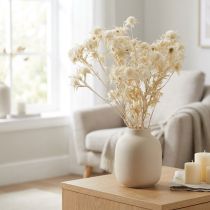 Artikel Trockenblume Distelzweige Gebleicht 40-55 cm Natur 80 g