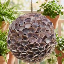 Artikel Dekokugel aus Muscheln Ø18cm in Natur und Violett mit Juteaufhänger