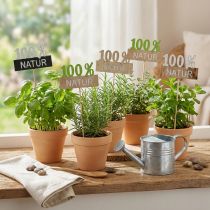 Artikel Dekostecker 100% Natur aus Holz, H28,5cm, 12er Set, in Grün, Weiß und Schwarz