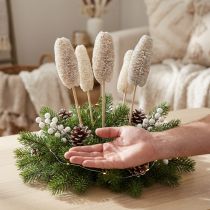 Artikel Luffa klein am Holzstiel Weiß gewaschen 46–49cm 25 Stück