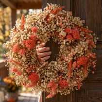 Artikel Deko Kranz Trockenblumen Blumenkranz Orange Creme Ø25cm